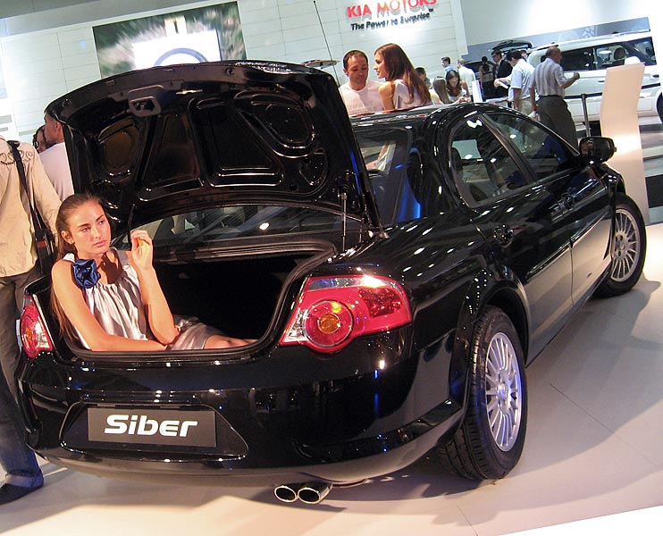 Volga Siber